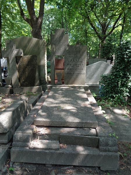 Zdjęcie grobu Alfred Lenc (1)