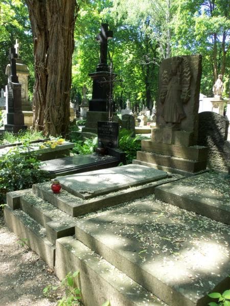 Zdjęcie grobu Ludwika Myszkiewiczowa (1)