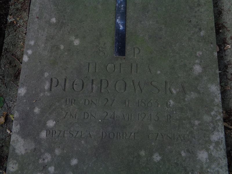 Zdjęcie grobu Teofila Piotrowska (2)