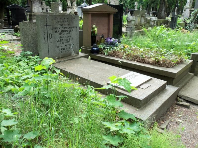 Zdjęcie grobu Eugenia Malinowska (1)