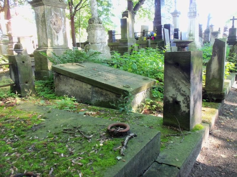 Zdjęcie grobu Teodora Jarzyńska (1)