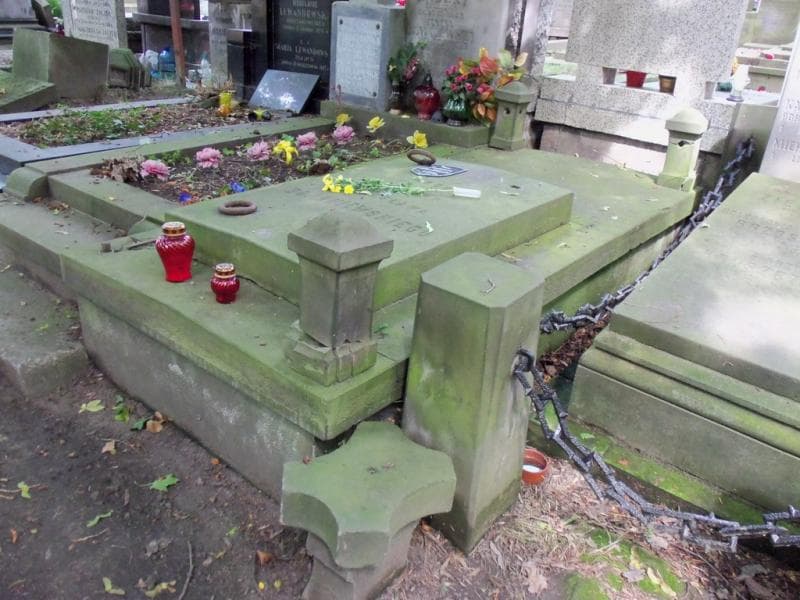 Zdjęcie grobu Bolesław Domaniewski (1)
