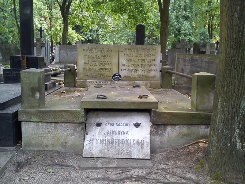 Zdjęcie grobu Andrzej Tymieniecki (1)