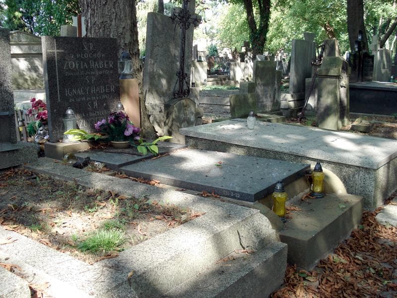 Zdjęcie grobu: Zofia Haber