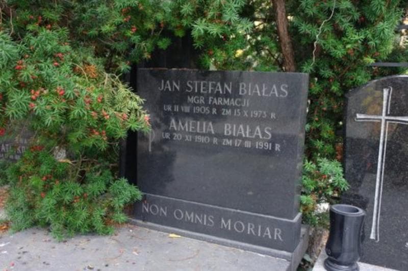 Zdjęcie grobu Amelia Białas (2)