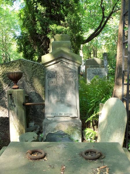 Zdjęcie grobu Krystyna Malczowa (2)