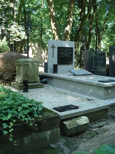 Zdjęcie grobu Agnieszka Jasińska (1)