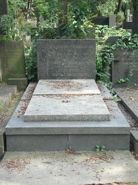 Zdjęcie grobu: Piotr Buttowt-Andrzeykowicz