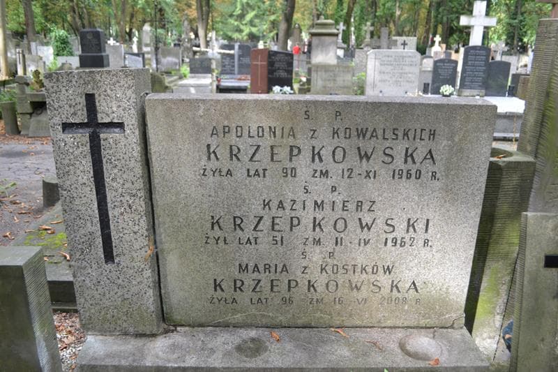 Zdjęcie grobu Andrzej Krzepkowski (2)