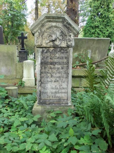 Zdjęcie grobu Ludwik Budziszewski (1)