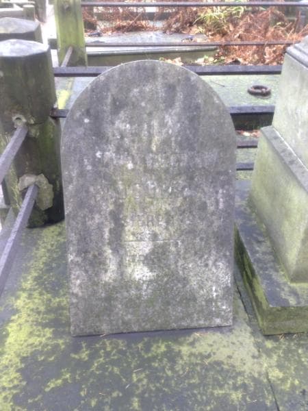 Zdjęcie grobu Emilja Podgórska (2)