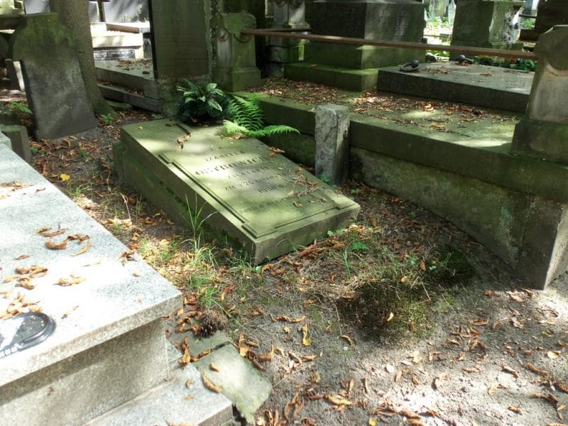 Zdjęcie grobu Izabella Ostrowicka (1)