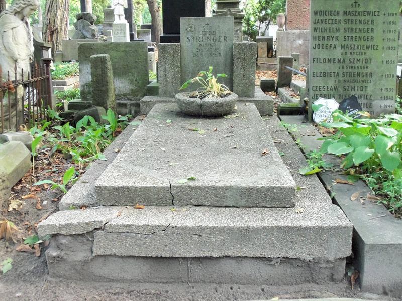 Zdjęcie grobu: Leopold Strenger
