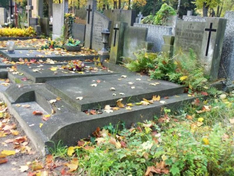 Zdjęcie grobu Henryk Ostyk - Narbutt (1)