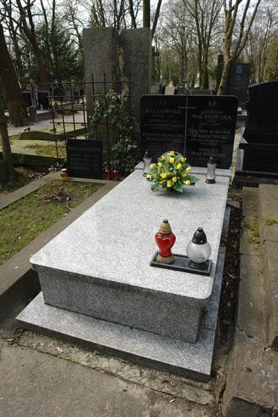 Zdjęcie grobu: Zygmunt Sylwester Malanowski