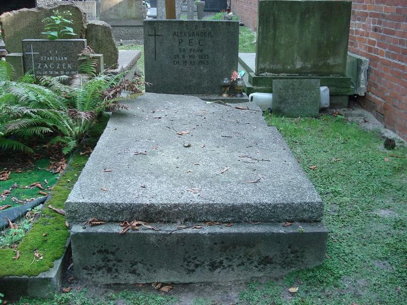 Zdjęcie grobu Aleksander Pec (1)