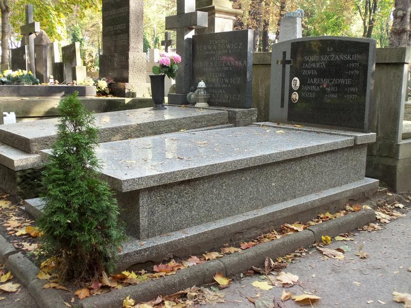 Zdjęcie grobu Józef Jaremicz (1)