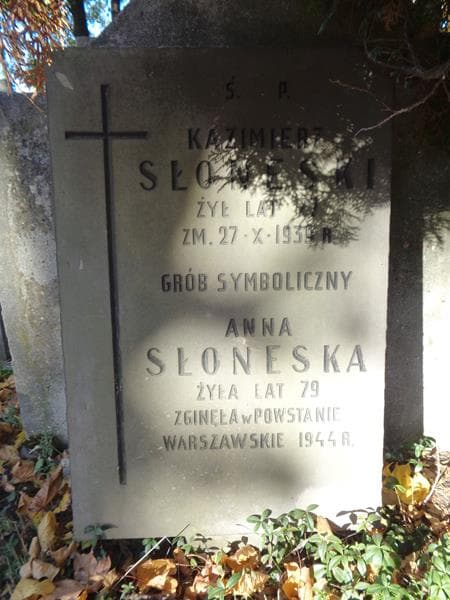 Zdjęcie grobu Kazimierz Słoneski (2)
