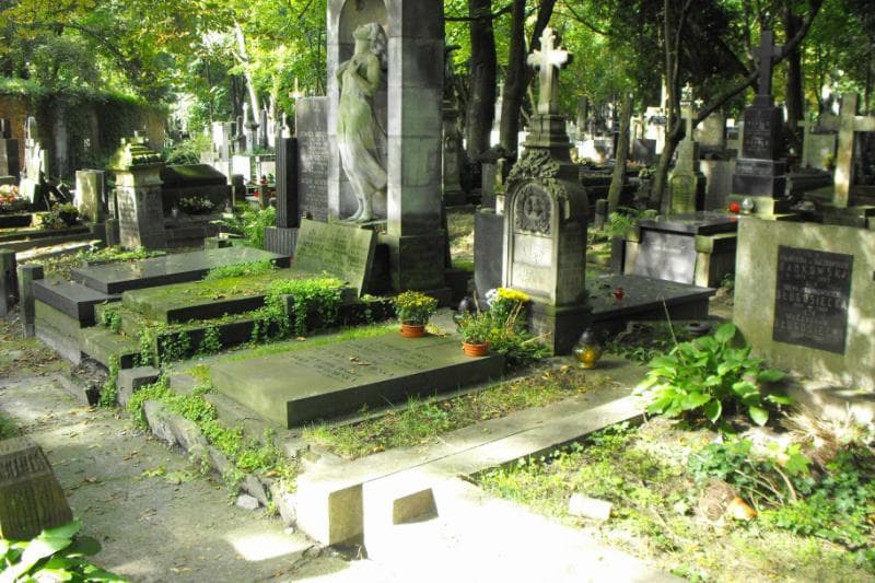 Zdjęcie grobu Anna Żółtowska (1)