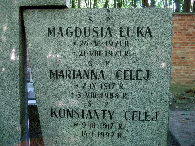 Zdjęcie grobu Konstanty Celej (2)