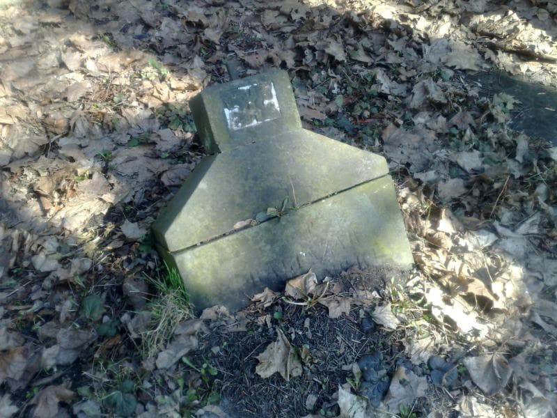 Zdjęcie grobu Baltazar Czapliński (1)