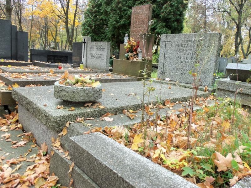Zdjęcie grobu Tadeusz Chrzanowski (1)
