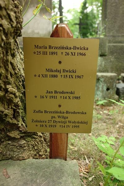 Zdjęcie grobu Mikołaj Ilwicki (2)