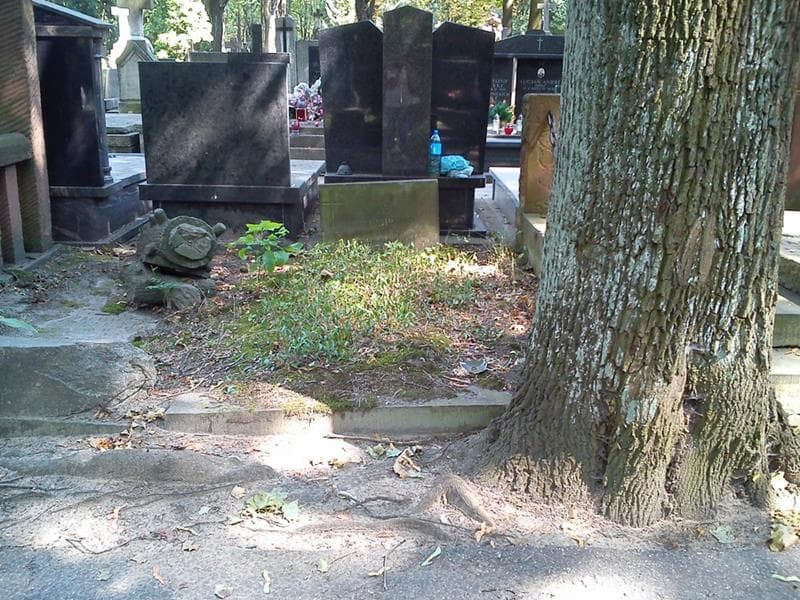 Zdjęcie grobu Jakób Niesłuchowski (1)