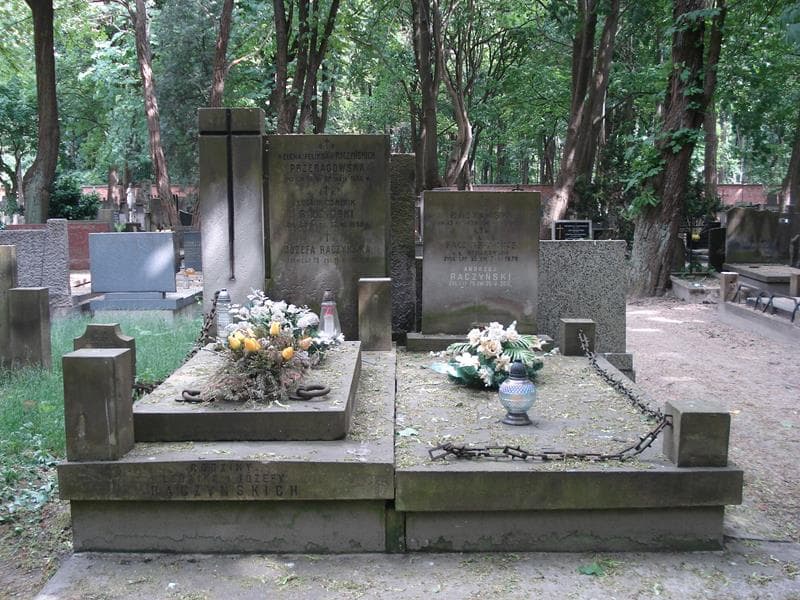 Zdjęcie grobu: Helena Feliksa Przeradowska