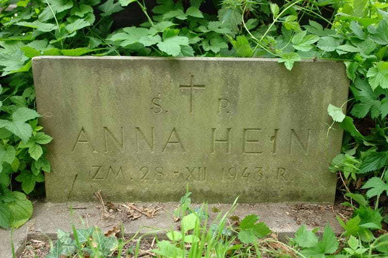Zdjęcie grobu Anna Hein (2)