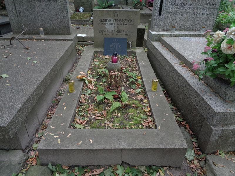 Zdjęcie grobu Zofia Zembrzycka (1)