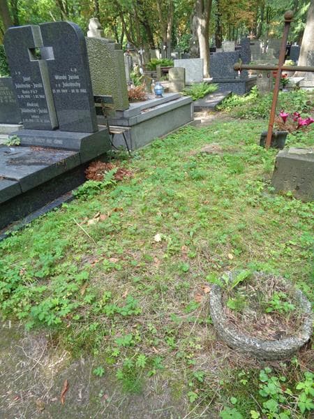 Zdjęcie grobu Pole Grobowe (1)