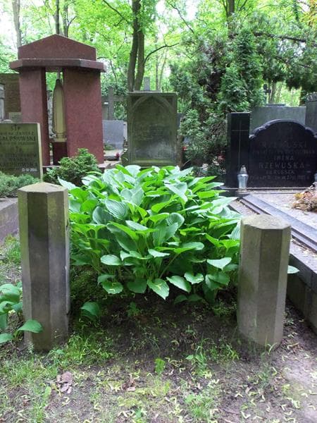 Zdjęcie grobu: Wiktorja Baranowska