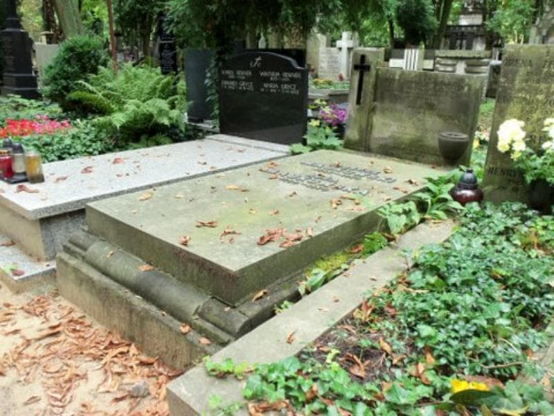 Zdjęcie grobu Józef Dołęga Ossowski (1)