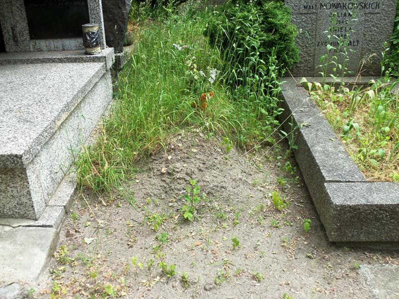 Zdjęcie grobu: Pole Grobowe