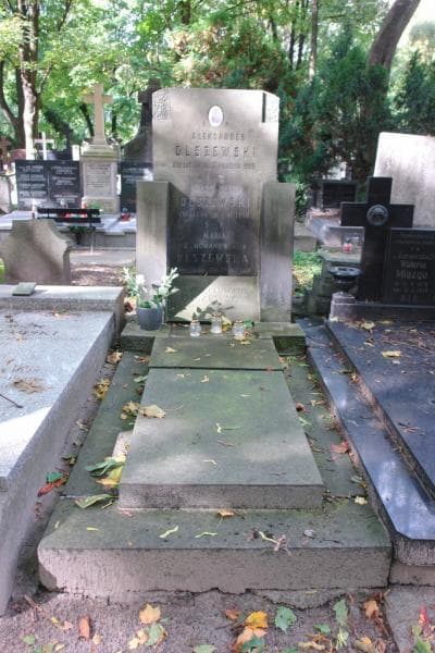 Zdjęcie grobu: Ludwik Olszewski