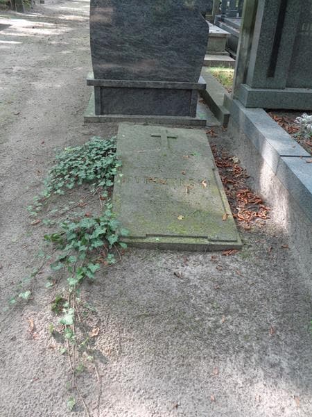 Zdjęcie grobu Nikodem Stanisław Turczyński (1)