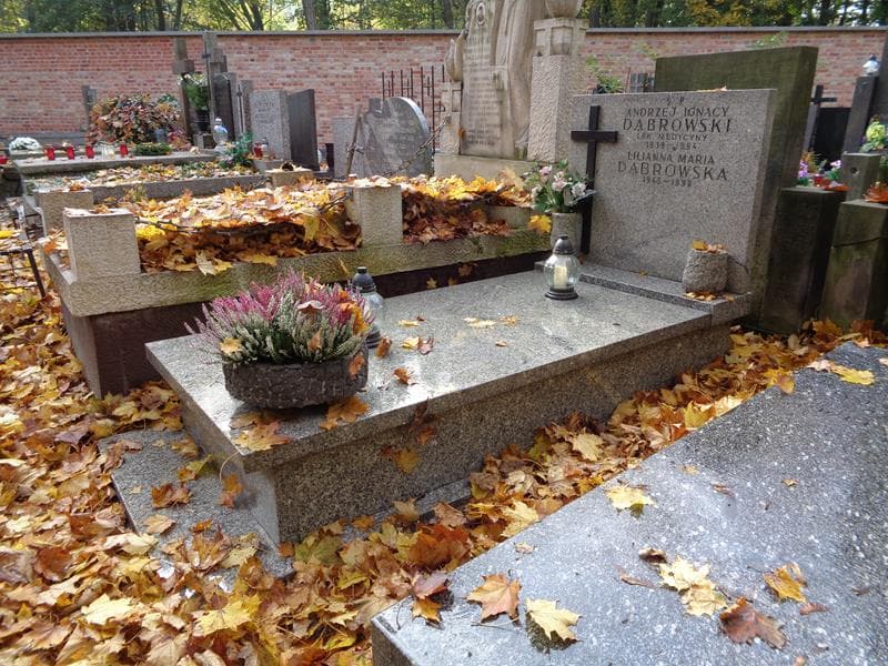Zdjęcie grobu: Andrzej Ignacy Dąbrowski