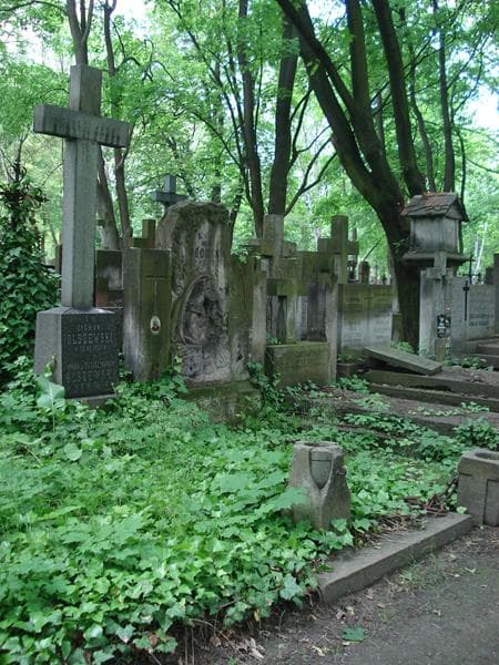 Zdjęcie grobu Zygmunt Olszewski (1)