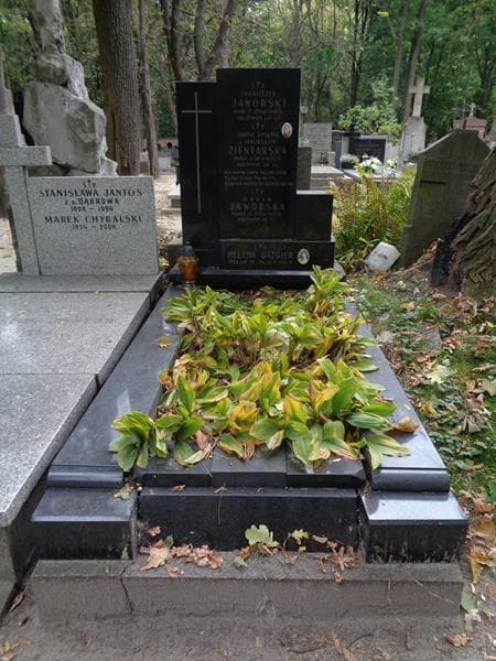 Zdjęcie grobu Franciszek Jaworski (1)
