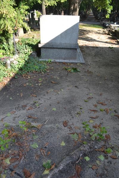Zdjęcie grobu: Pole Grobowe