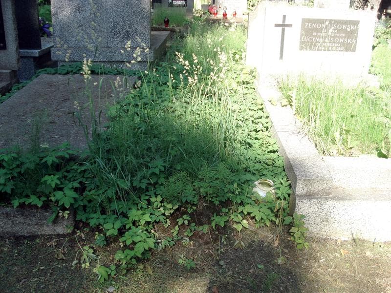 Zdjęcie grobu: Pole Grobowe