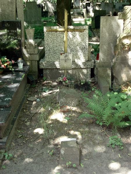 Zdjęcie grobu: Daniel Goldman
