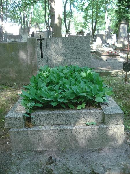 Zdjęcie grobu: Józef Cybulski
