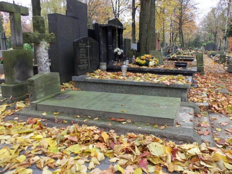 Zdjęcie grobu Janina Drągowska (1)