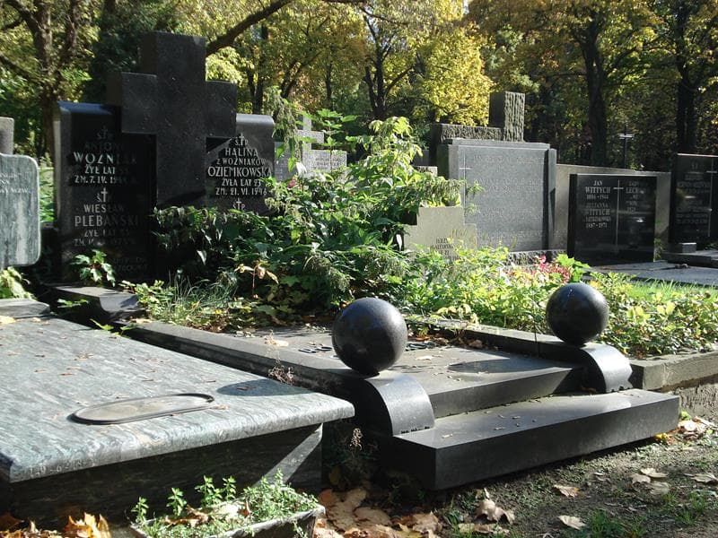 Zdjęcie grobu Wiesław Plebański (1)