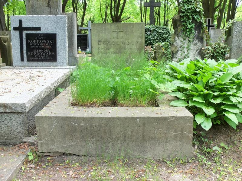 Zdjęcie grobu: Emil Czyżewski