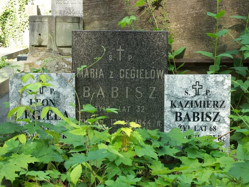 Zdjęcie grobu Kazimierz Babisz (2)