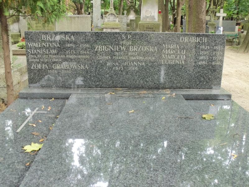 Zdjęcie grobu Stanisław Brzoska (2)