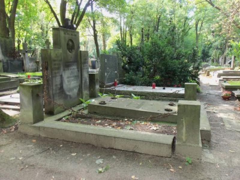 Zdjęcie grobu Ludwik Albinowicz (1)